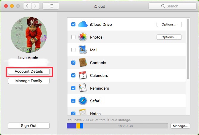 Click on Account details in iCloud