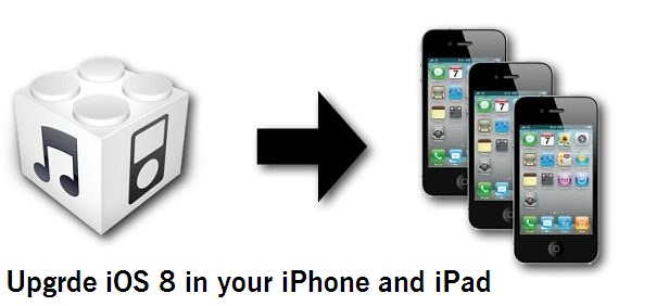 Update Or Install Ios 8 In Iphone 5 5s 5c Iphone 4s Ipad