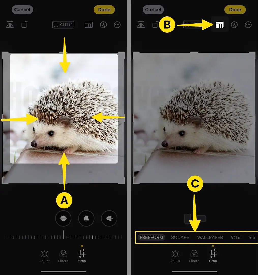 Crop the Image Select the Ratio of the Image on iPhone