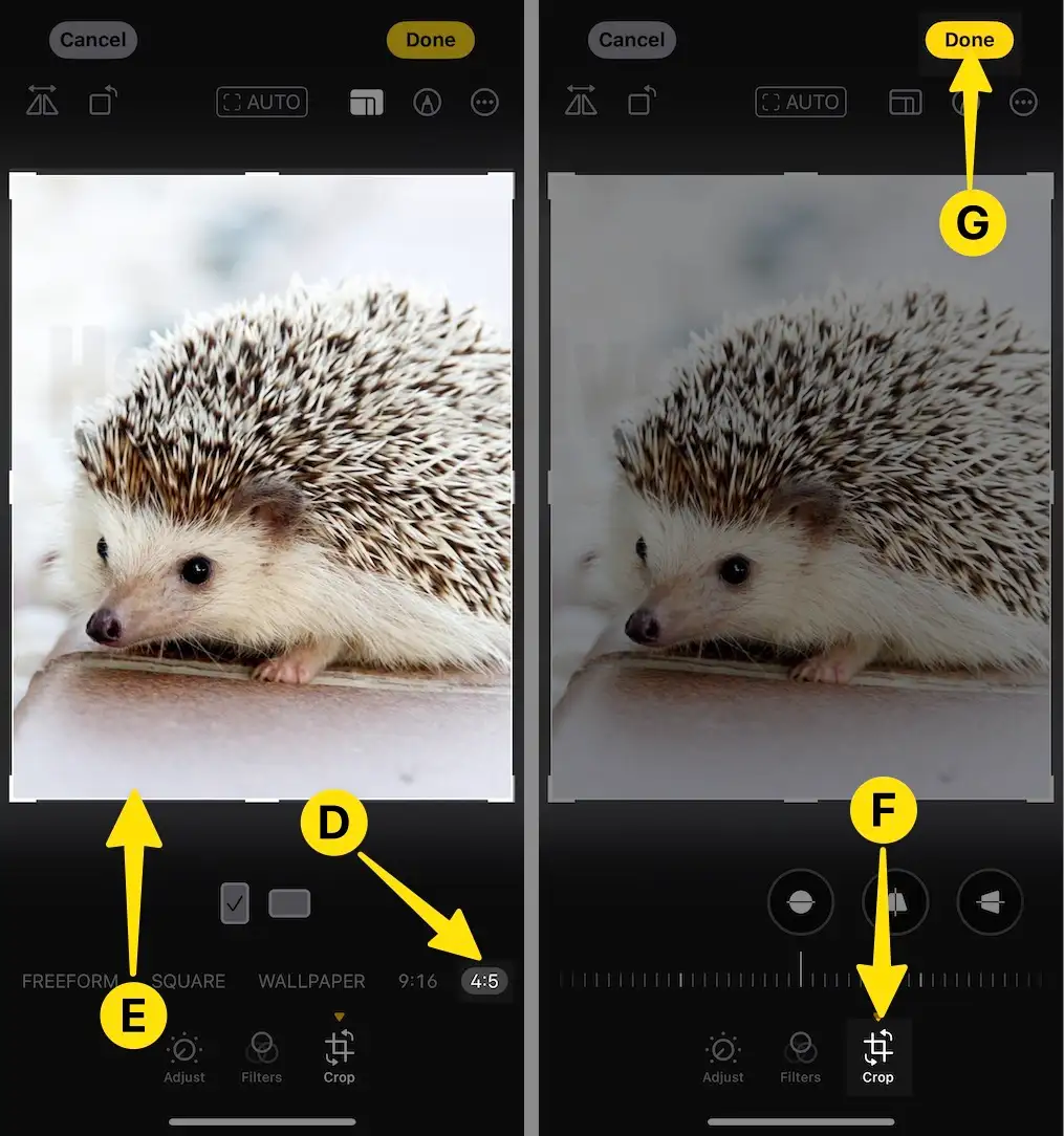 how-to-crop-photos-on-iphone-15-14-using-photos-app-in-2-ways