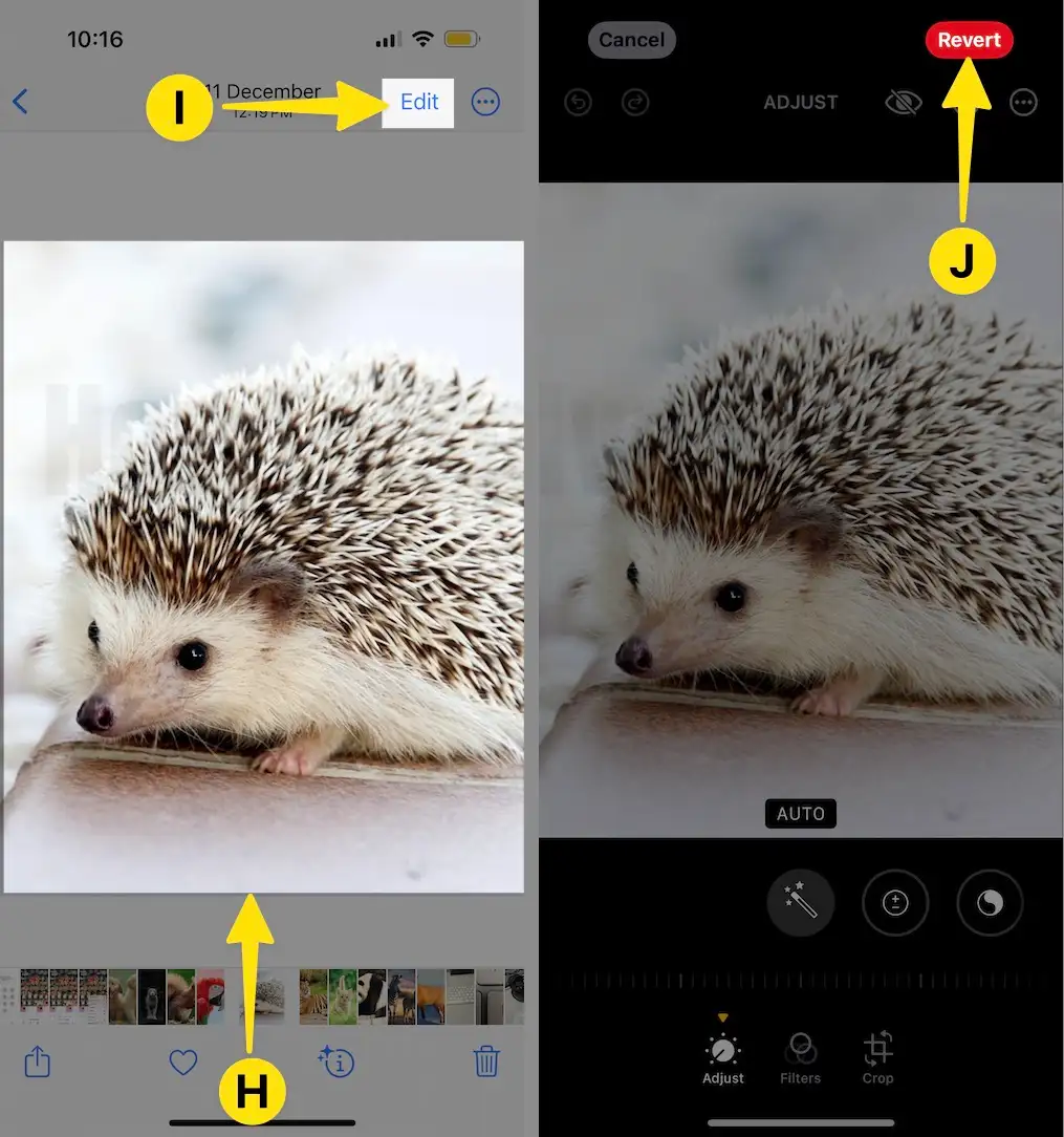 Select Cropped Image Tap on Edit Click on Revert on iPhone