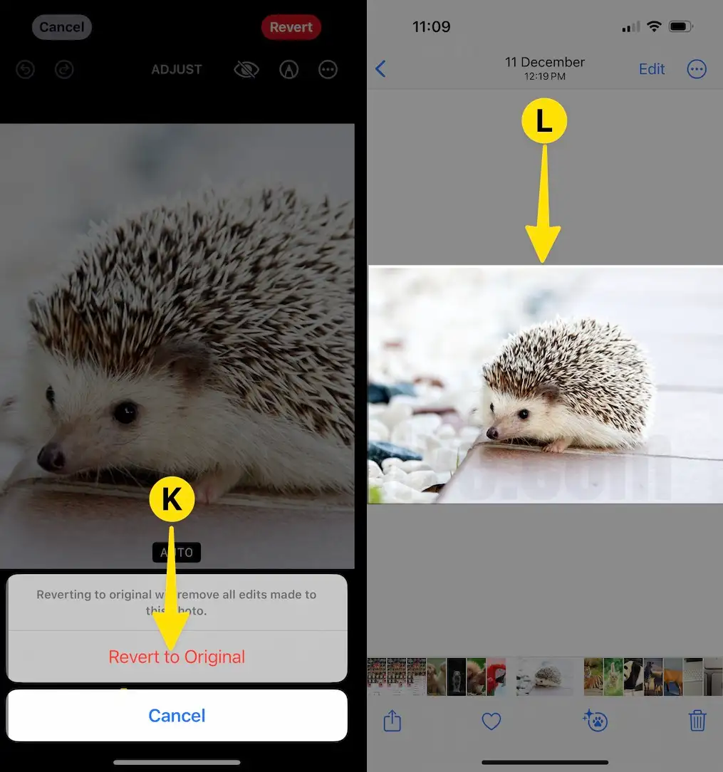 From Pop-up Menu Select Revert to Original See the Original Photo on iPhone