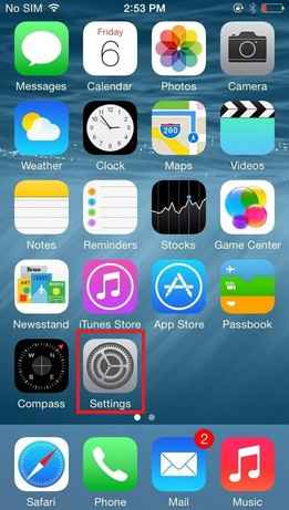 Move setting app and enable grayscale mode in iOS 8