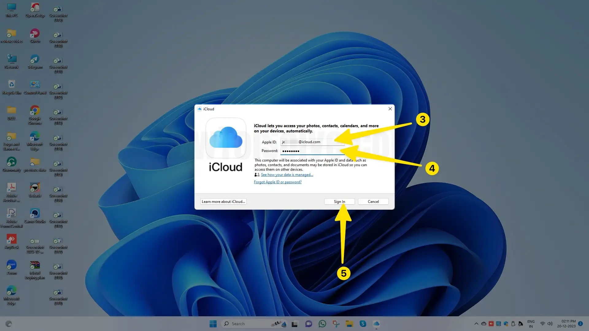Enter apple ID , password select sign in on mac