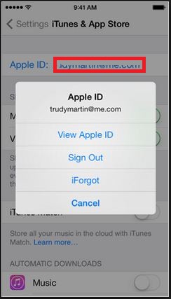 Find logged in apple ID in iPhone running on iOS 8 screen