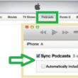 Enable Sycn podcast in iTUnes when you want sync