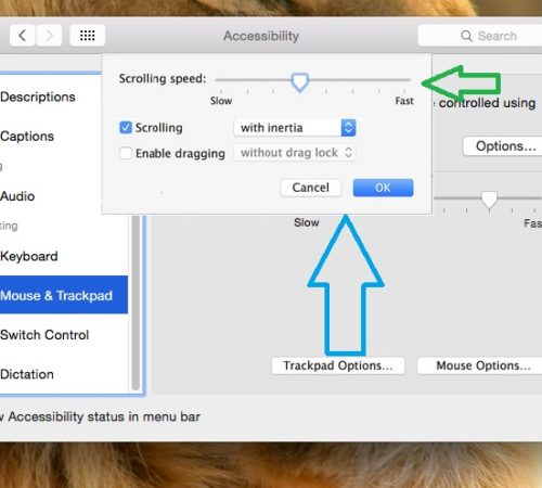 How To Change Mouse And Trackpad Scrolling Speed In High Sierra Mojave And Earlier HowToiSolve
