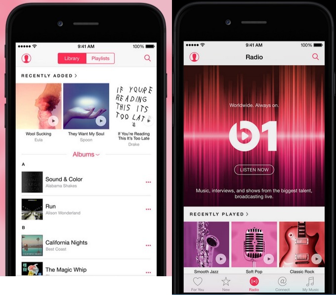 Apple Music Features in pro plan