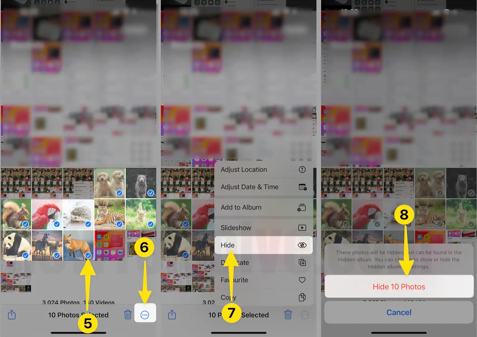 Select photos tap on three icon tap select choose hide 10 photos on iPhone