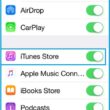 Enable iTunes access from restriction setting