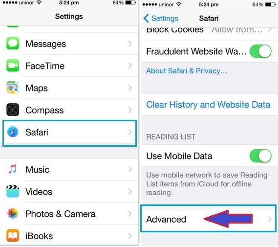How to delete website data from safari in iOS 8, 10