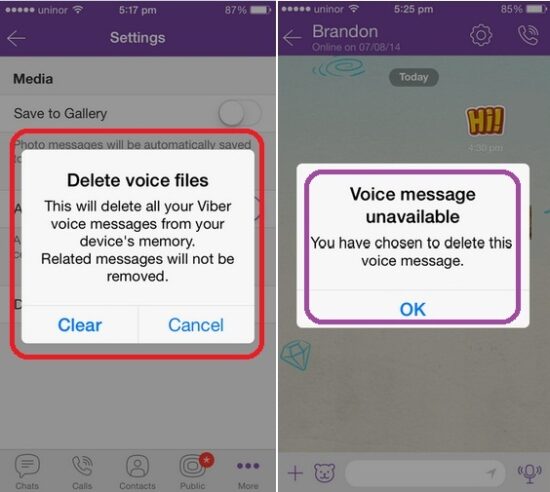 Steps on how to remove or delete voice message in Viber iPhone, iPad app