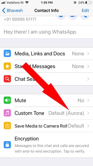 2 setări de ton personalizate pentru WhatsApp iPhone