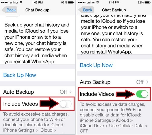 Want to take backup WhatsApp Video on iPhone