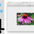 Crop Image On Mac Preview
