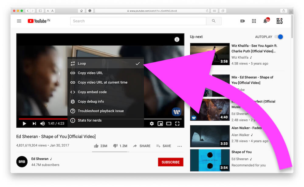 Enable YouTube Video Play in Loop continuously