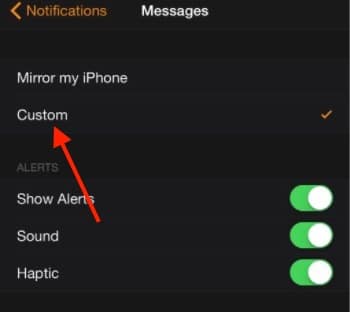 5 Apple watch Message notification not working