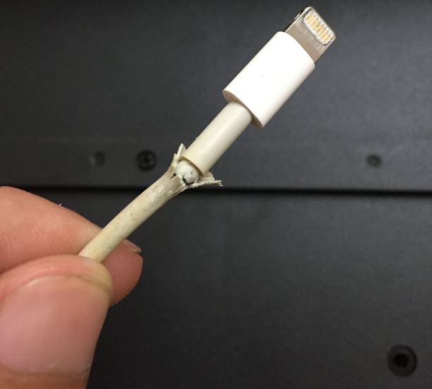 7 Fixes Frayed iPhone Charging Cable at Home in 2023