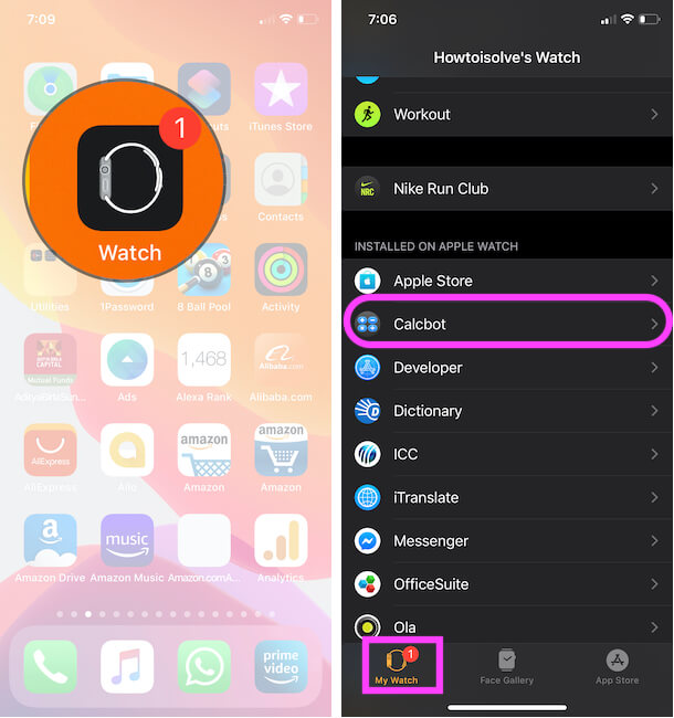 app Installed On Apple Watch