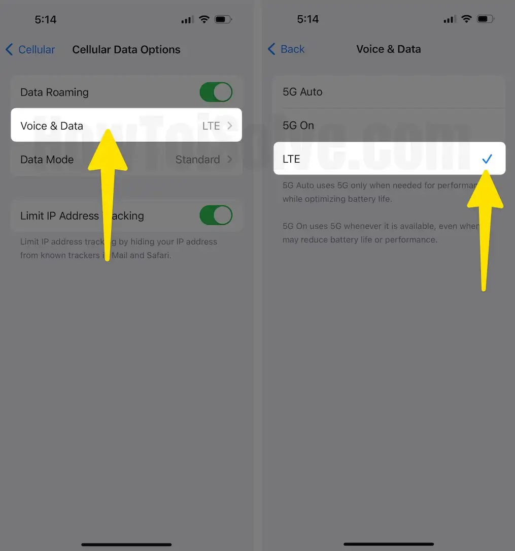 Click voice & data check LTE on iPhone