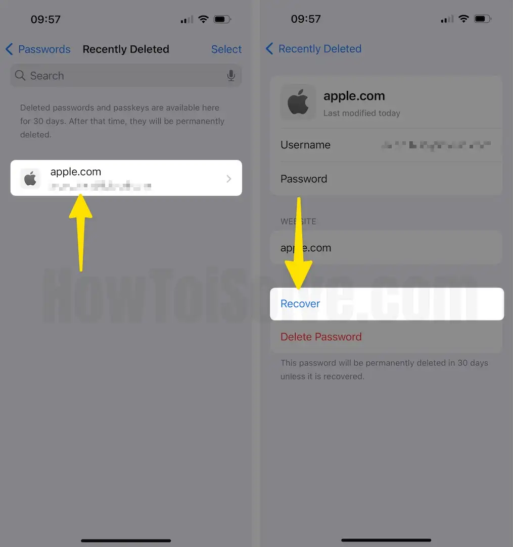 Tap on Delete Item Choose the Recover Option on iPhone