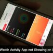 Apple Watch Activity app on iPhone 6S Plus