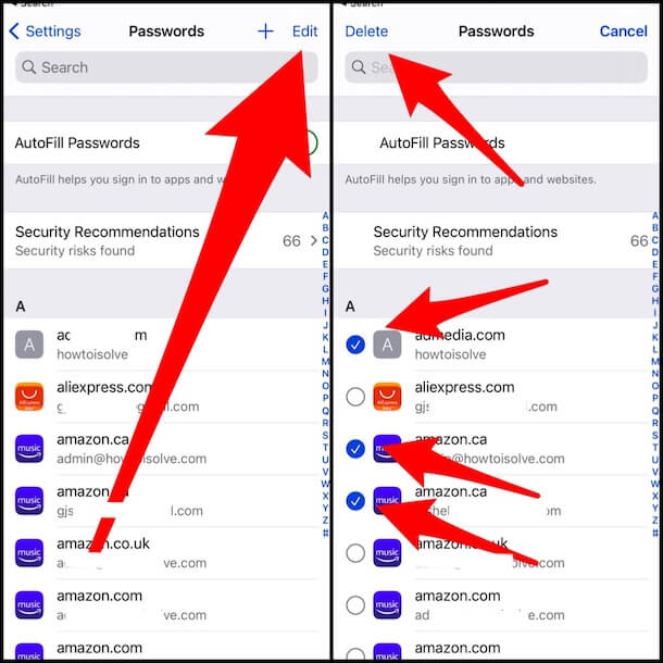 Delete Multiple Password from safari on iPhone and iPad