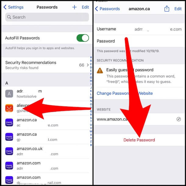 Delete Safari Password on iPhone and iPad