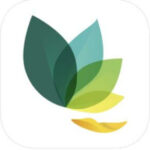 Oak Meditation App for iPhone