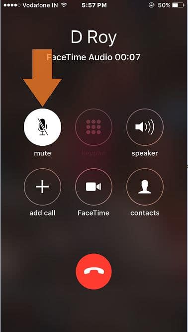 Start hold or mute call on Facetime call