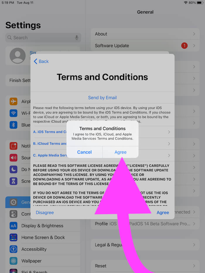 Accept Apple ID terms and conditions on iPhone 