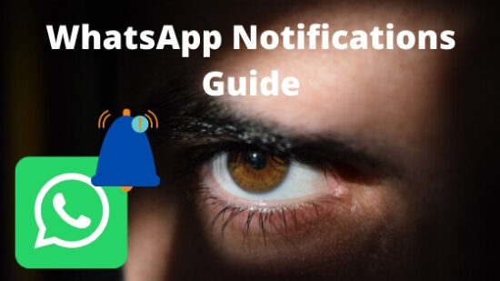 Enable or Disable WhatsApp Notification for Chat and Group on iPhone
