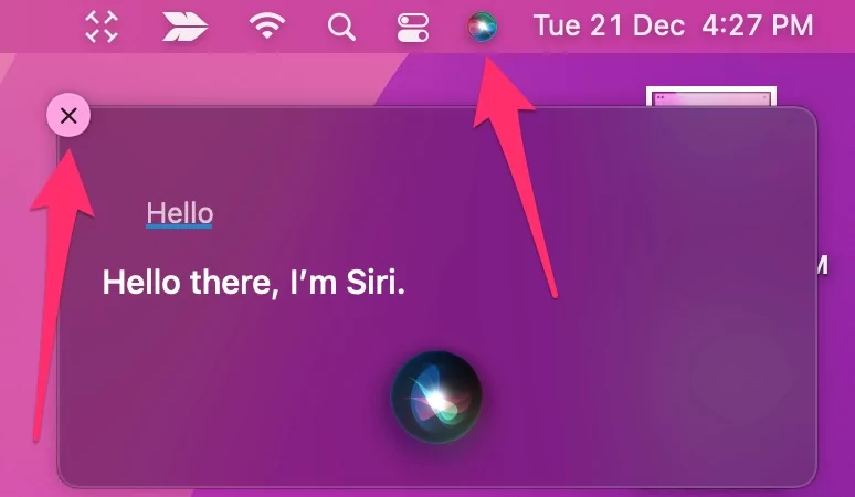 activate-or-turn-off-siri-on-mac
