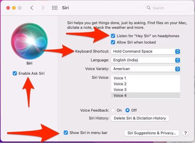 siri-settings-on-mac-to-activate-and-use