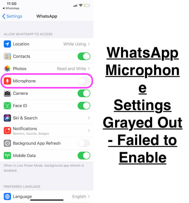 WhatsApp Microphone settings grayed out on iPhone