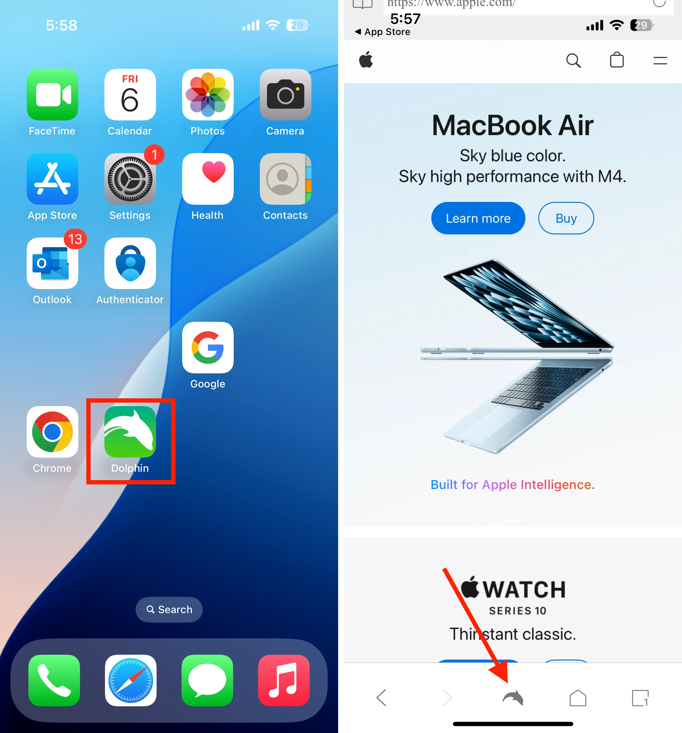 open Dolphin browser and click on fish icon