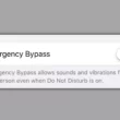 How to Turn ON Emergency Bypass on iPhone for Calls and Text Message