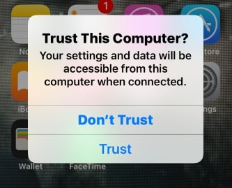 1 Accept Trust this computer on connect via usb