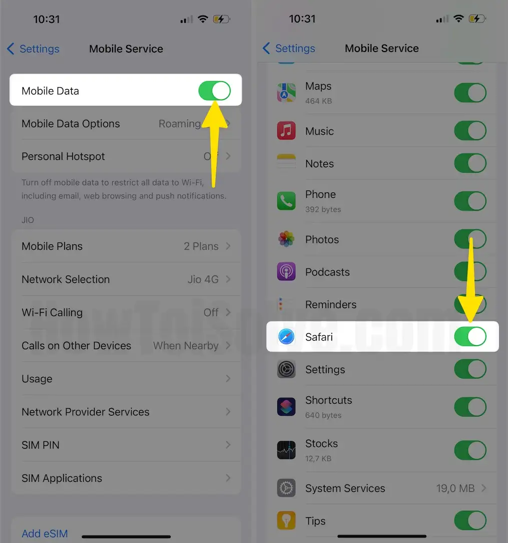 Enable Mobile Service Enable Safari on iPhone