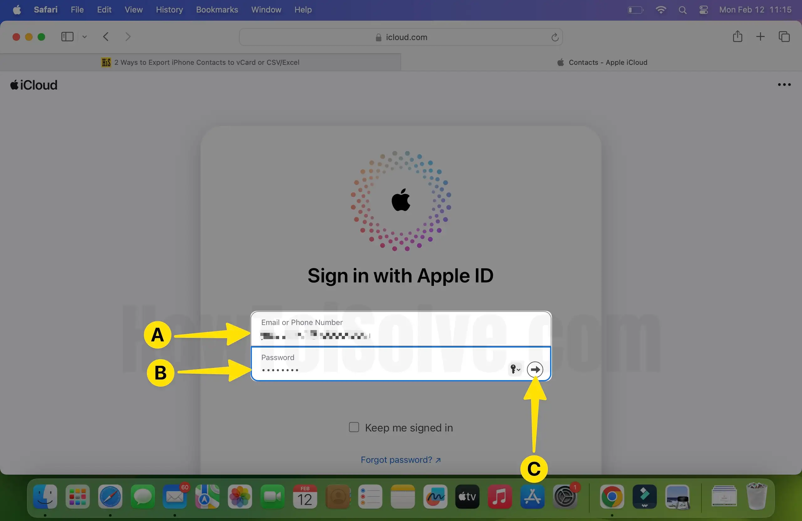 Enter Email and Password to Sign in Process on Mac