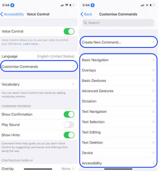 How to Turn On/Turn off Voice Control on iPhone, and Mac