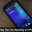 Hey Siri not Working on iPhone 7 Plus after iOS 10 update