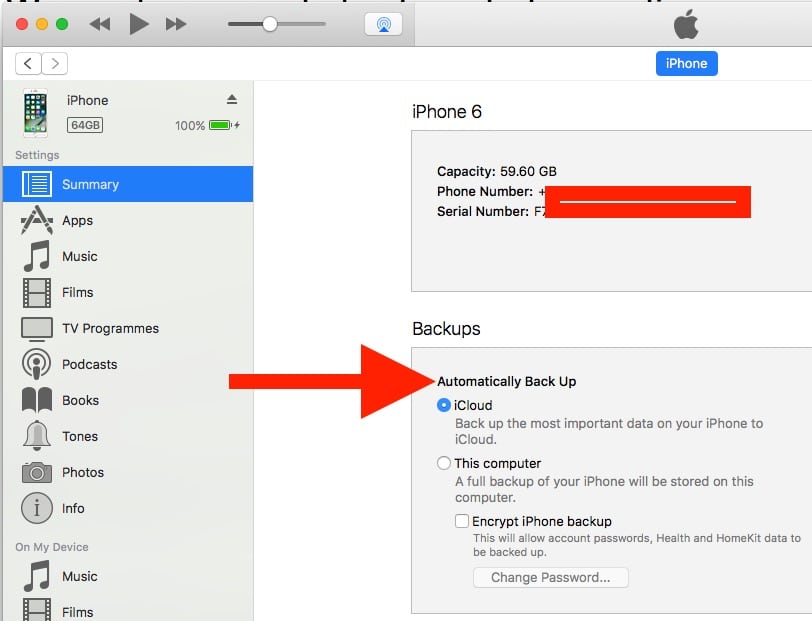 2 Auto Backup on iTunes for iPhone