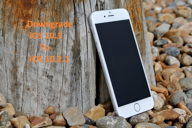 Downgrade iOS 10.3 to 10.2.1