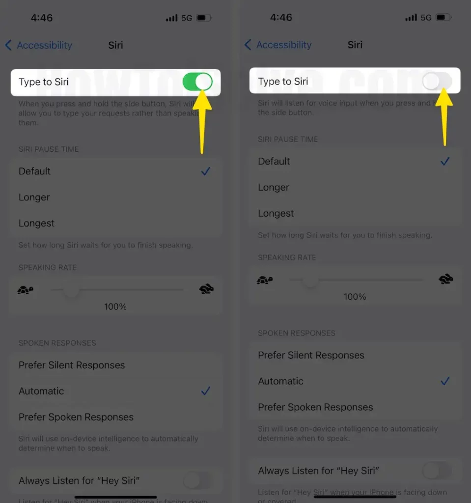 Enable:disable toggle type to siri on iphone