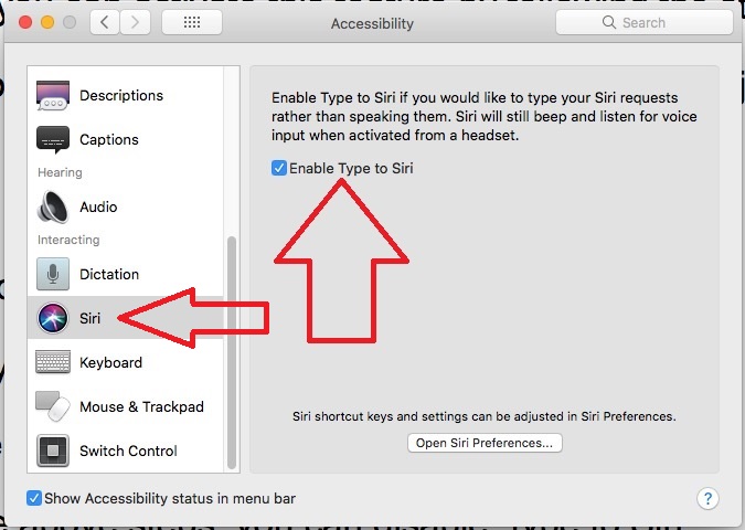 3 Включите тип для Siri в MacOS High Sierra в настройках Mac