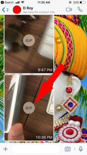 10 Gif send in WhatsApp conversation from live photo in iOS 11