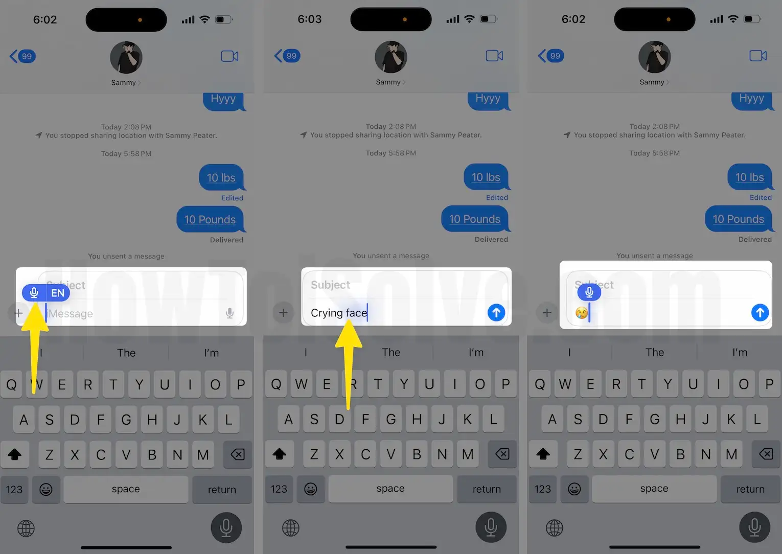 Click microphone tap Crying face to image on iPhone