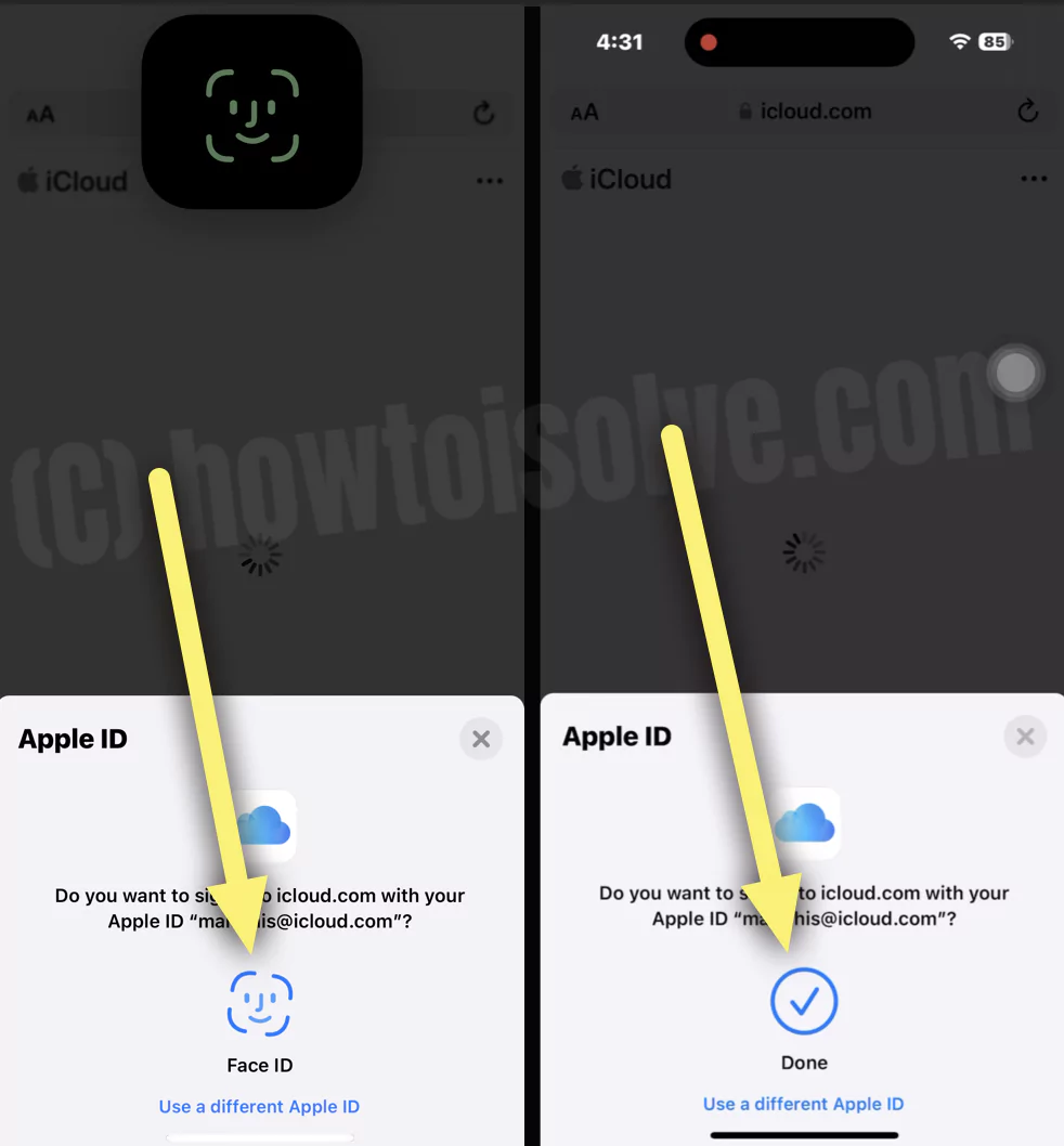 Verify your Apple ID login or Sign in with different Apple ID