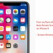 Manage Auto Rotate Screen on iPhone X